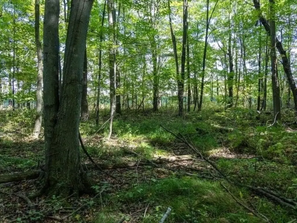 Picture 11