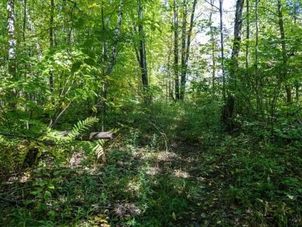 Picture 22