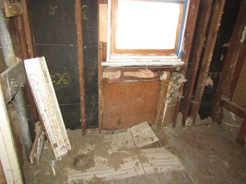 Picture 14