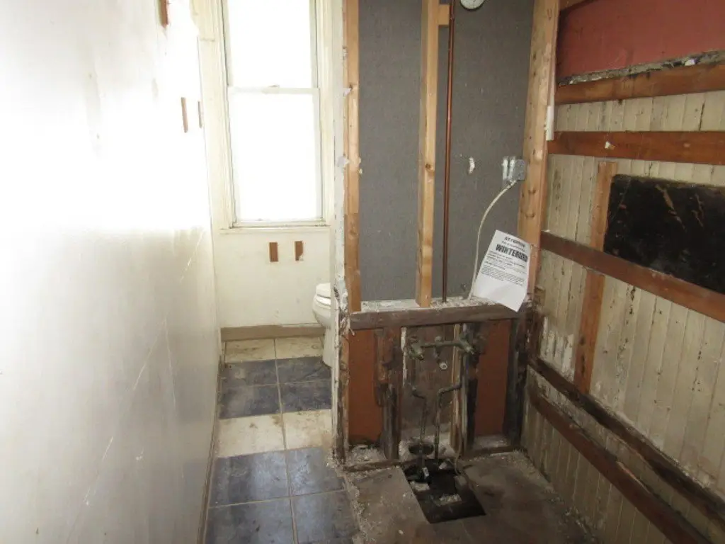 Picture 8