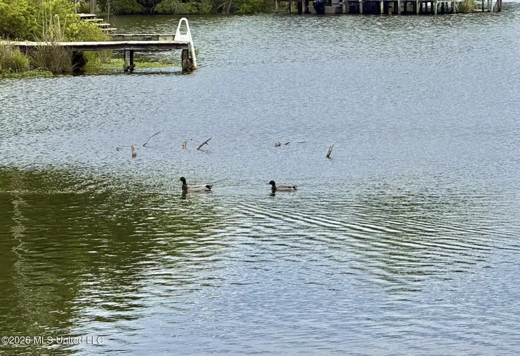 Picture 4
