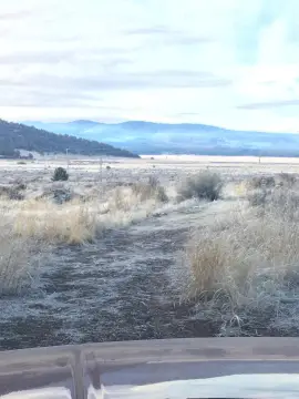 Land with Camping Cabin