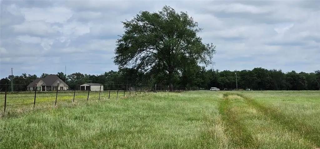 Picture 17