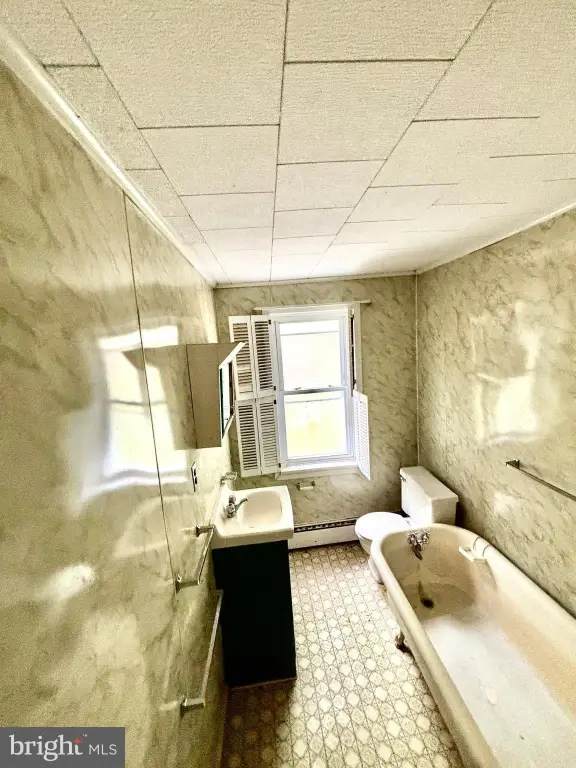 Picture 20