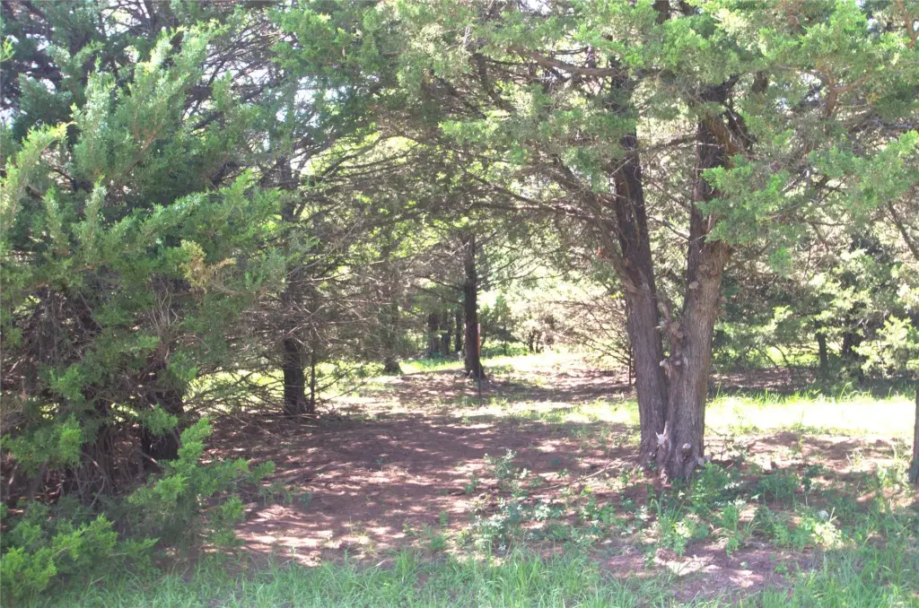 Picture 15