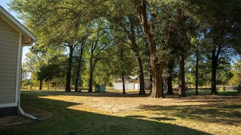 Picture 21