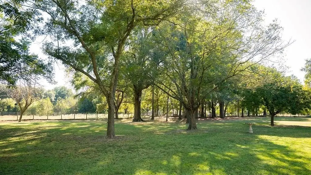 Picture 20