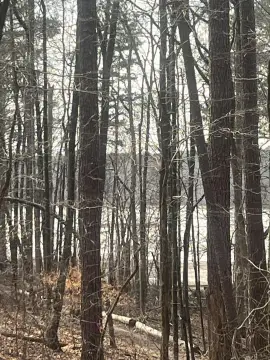 Lincolnton, GA Waterfront Land