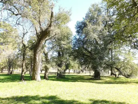 Historic Brenham Farm-Ranch Opportunity