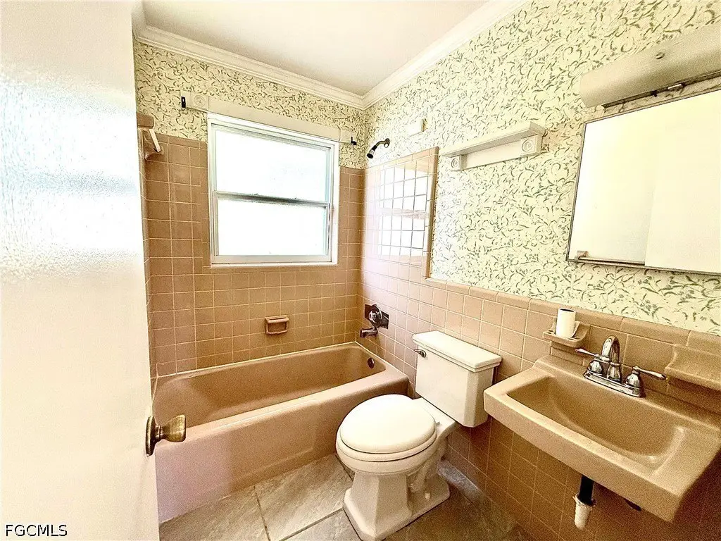 Picture 11