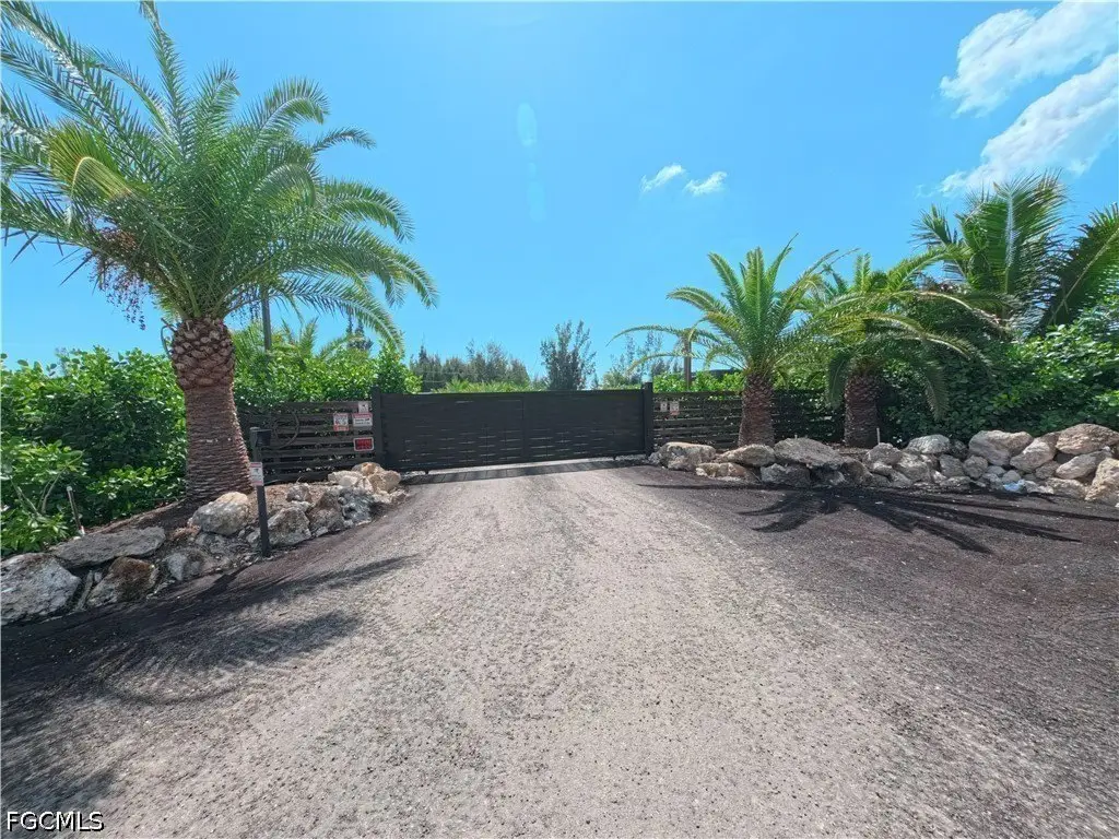 Picture 21