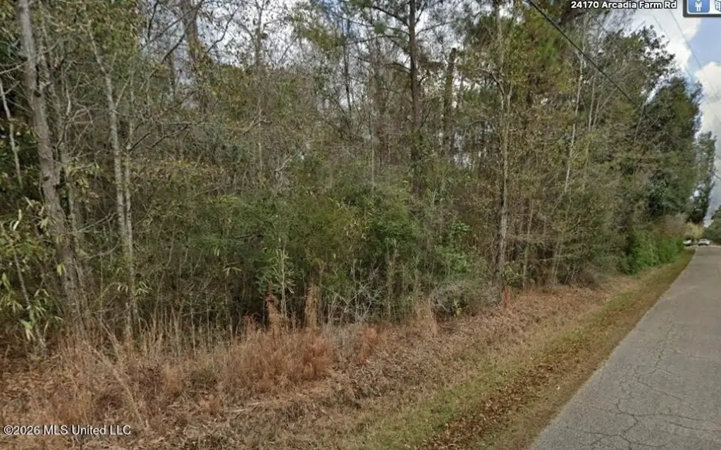 Picture 4