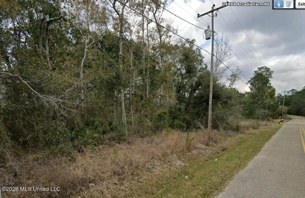 Picture 3