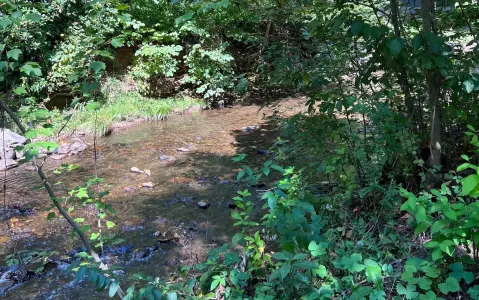 Hayesville, NC Vacant Lot