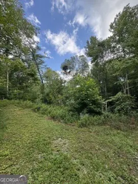 Mountain Retreat Lot with Wooded Setting