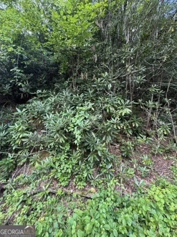 Picture 4