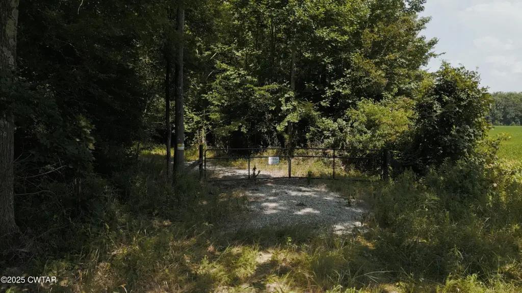 Picture 3