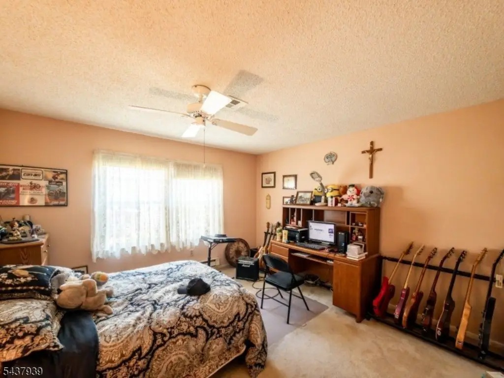 Picture 24