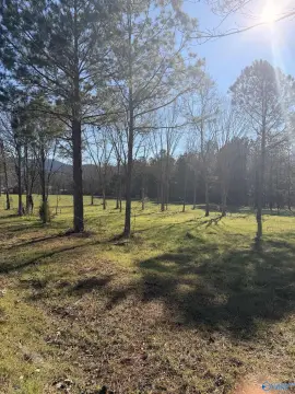 Piedmont, AL Acreage for Sale