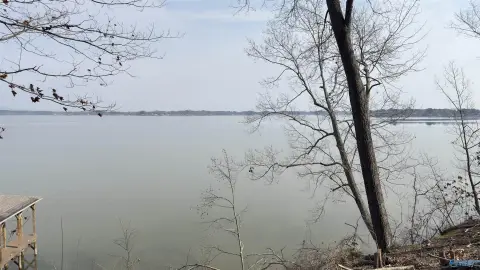 Waterfront Lot in Cothran Estates