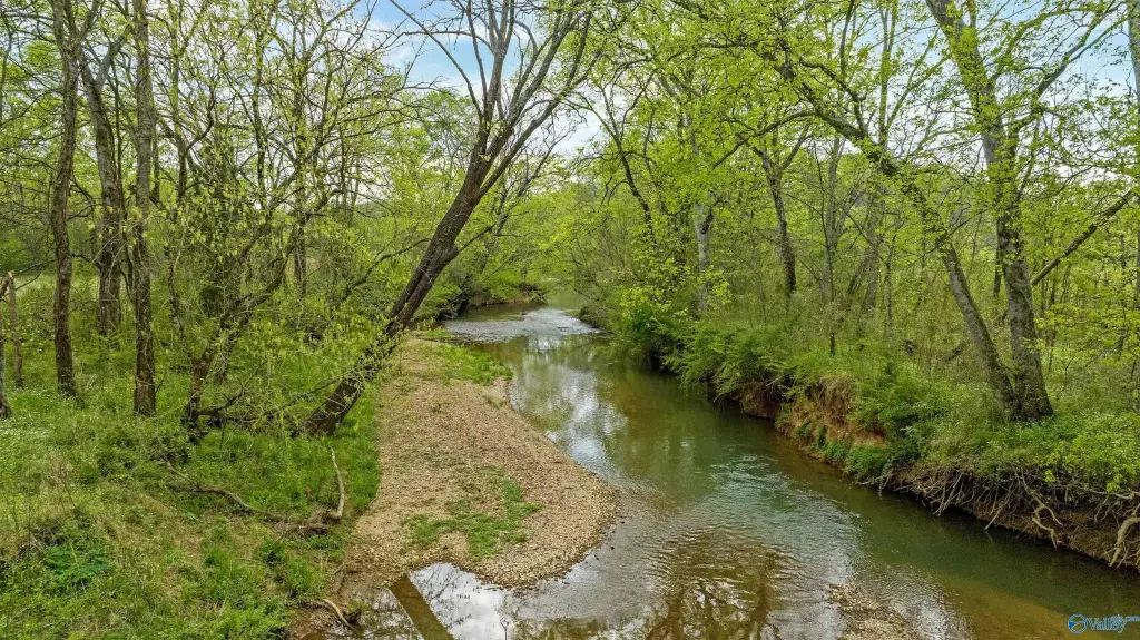 Picture 28