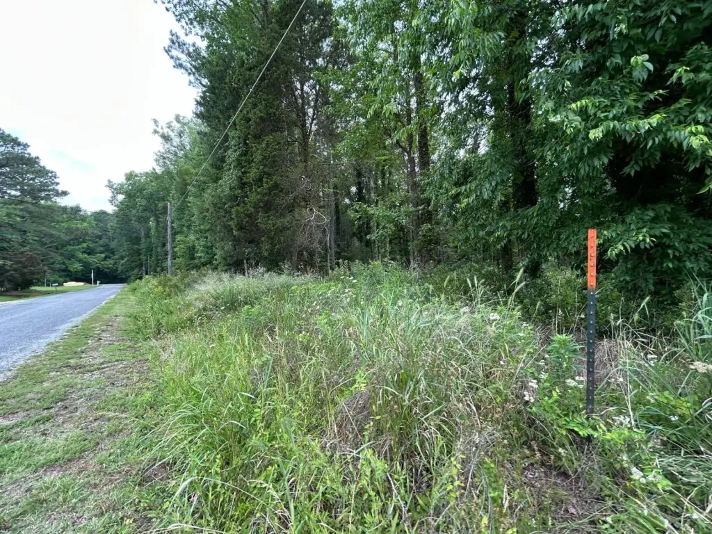 Picture 10