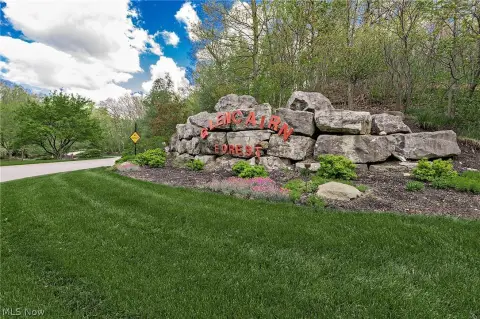 Richfield Land in Glencairn Forest
