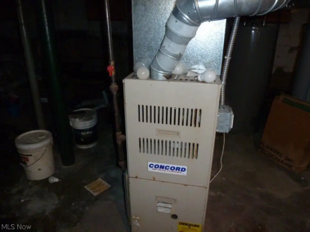 Picture 10