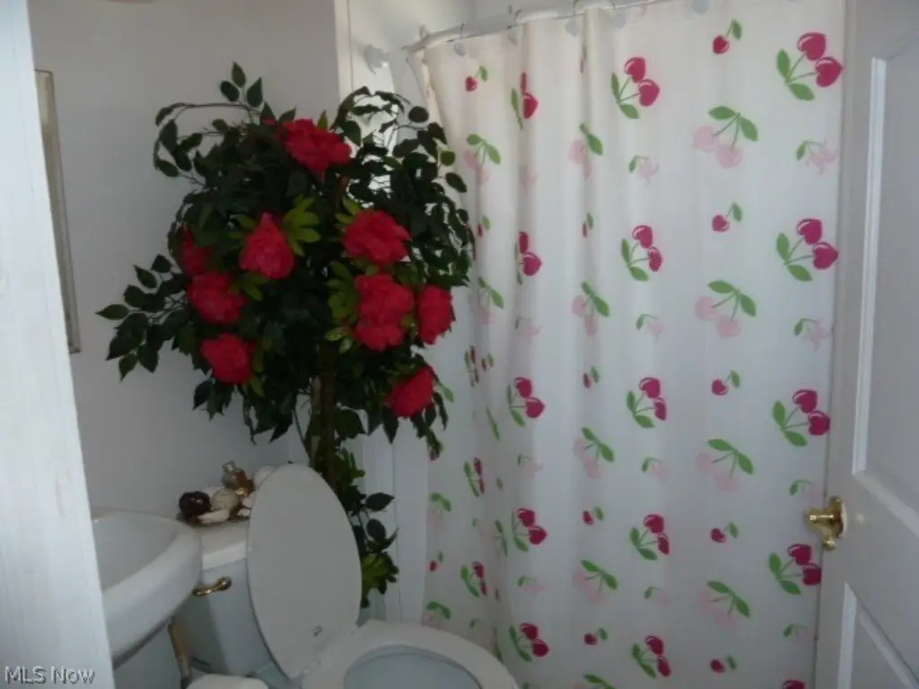 Picture 7