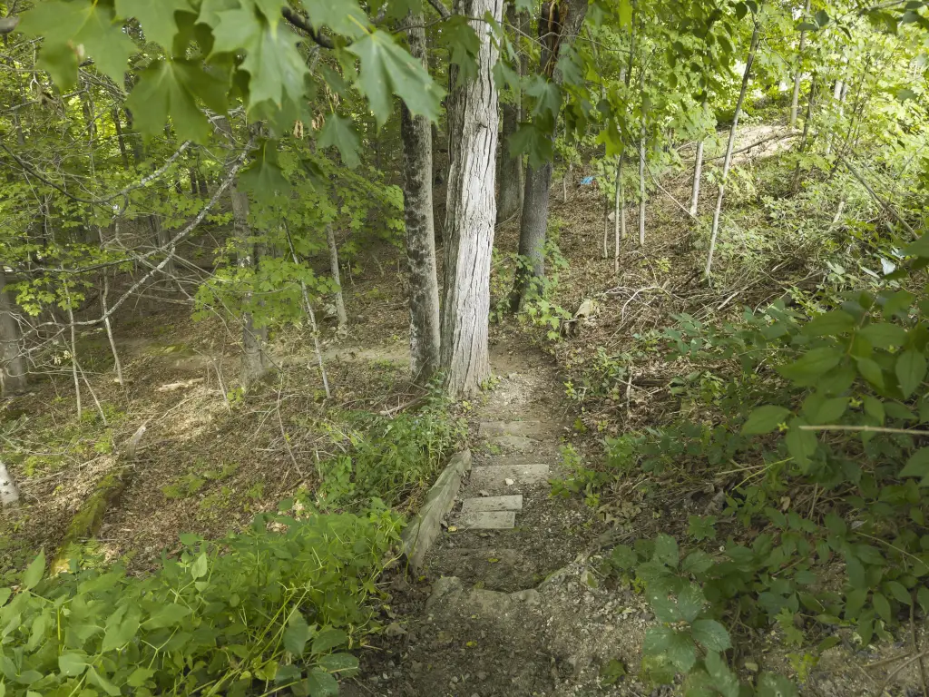 Picture 66