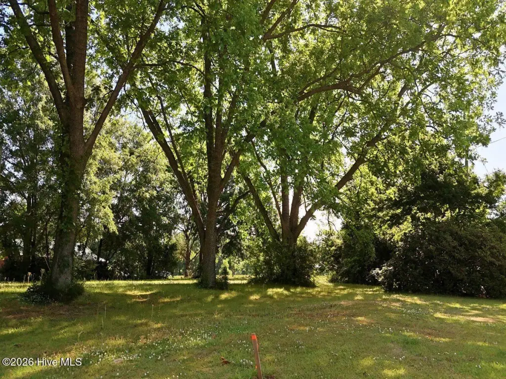 Picture 25