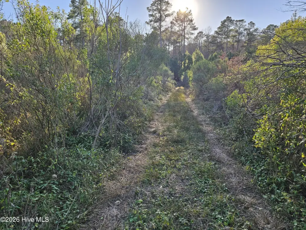 Picture 27