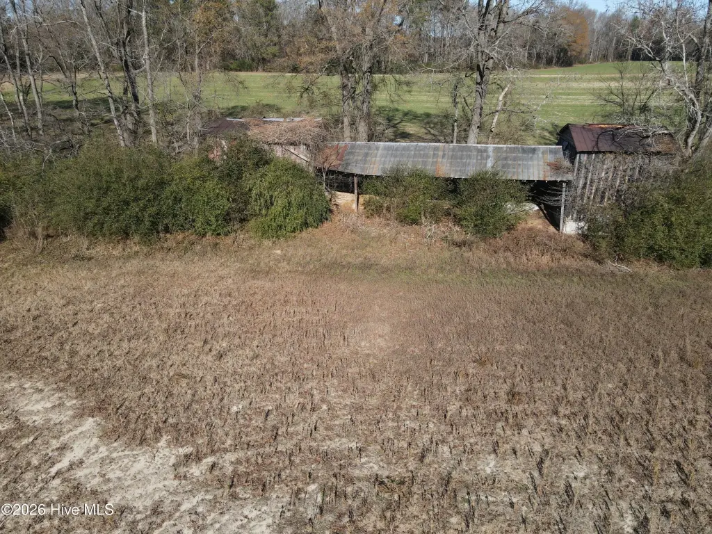 Picture 4