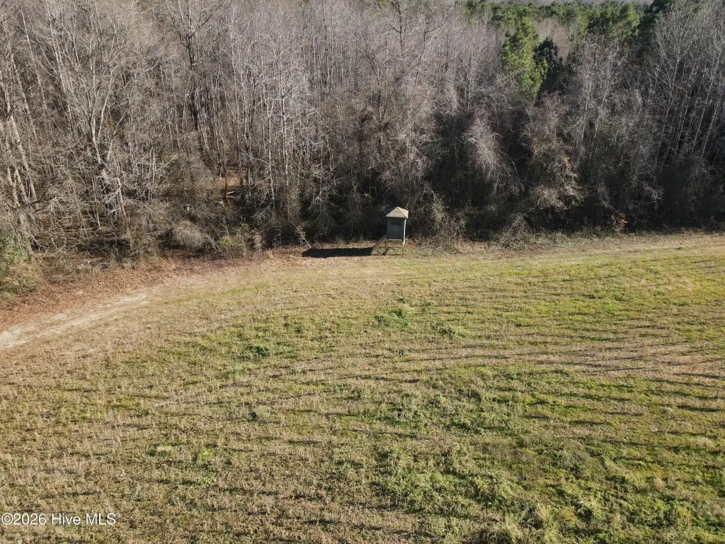 Picture 22