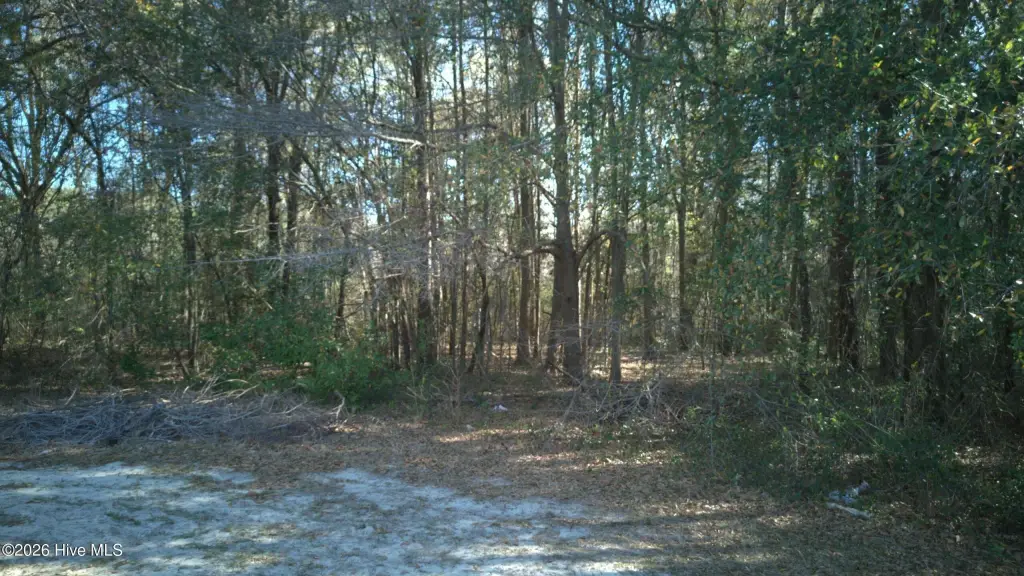 Picture 12