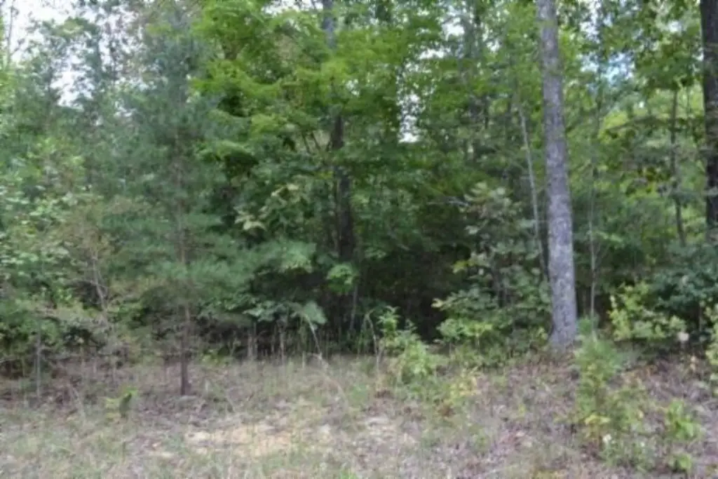 Picture 21