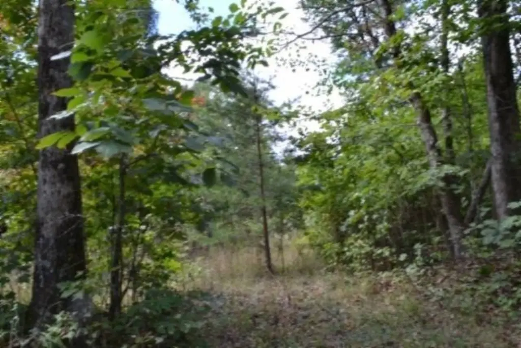 Picture 23
