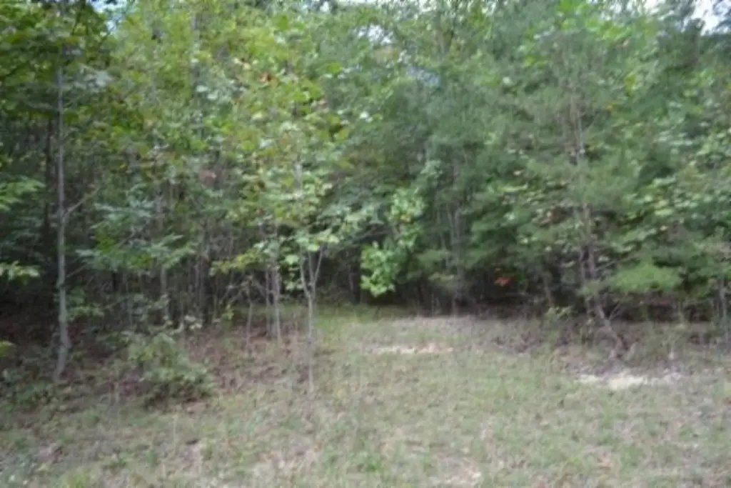 Picture 22