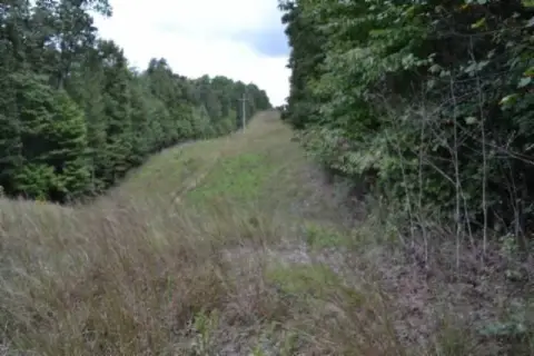 Wooded Hunting Land
