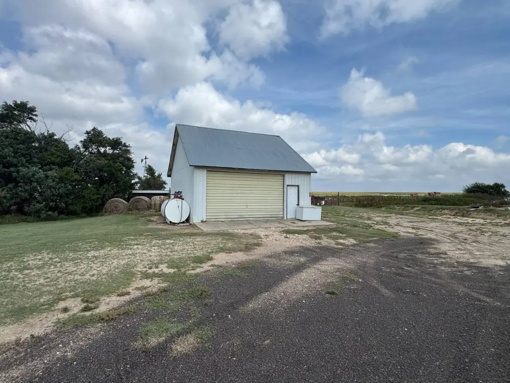 Picture 29