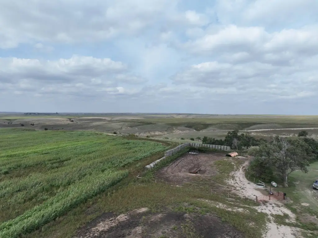 Picture 73