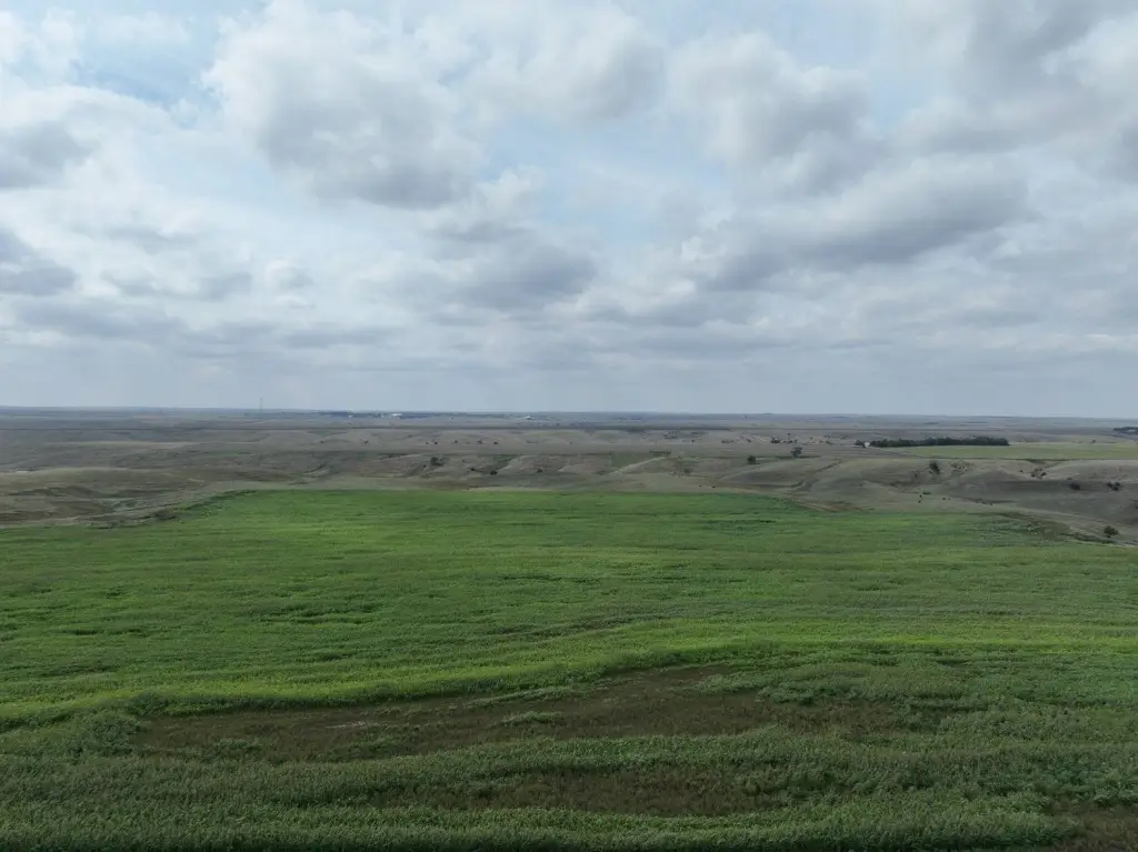 Picture 37