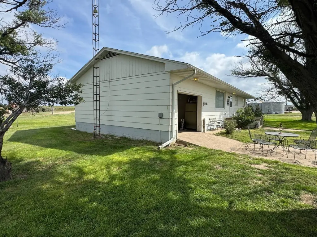 Picture 28