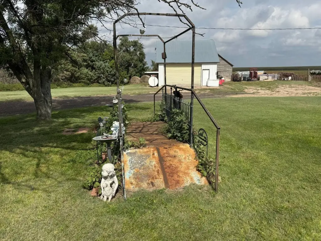 Picture 27