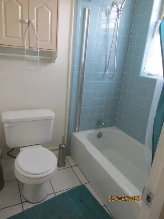 Picture 11