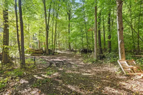 Hunting Land with Stands