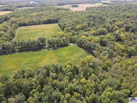 119.5 Acres of Wooded Terrain