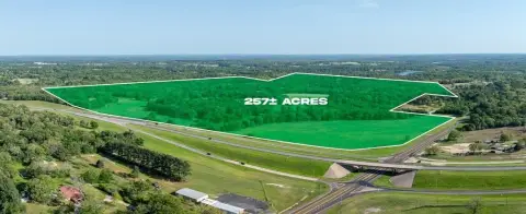 250 Acres of East Texas Land