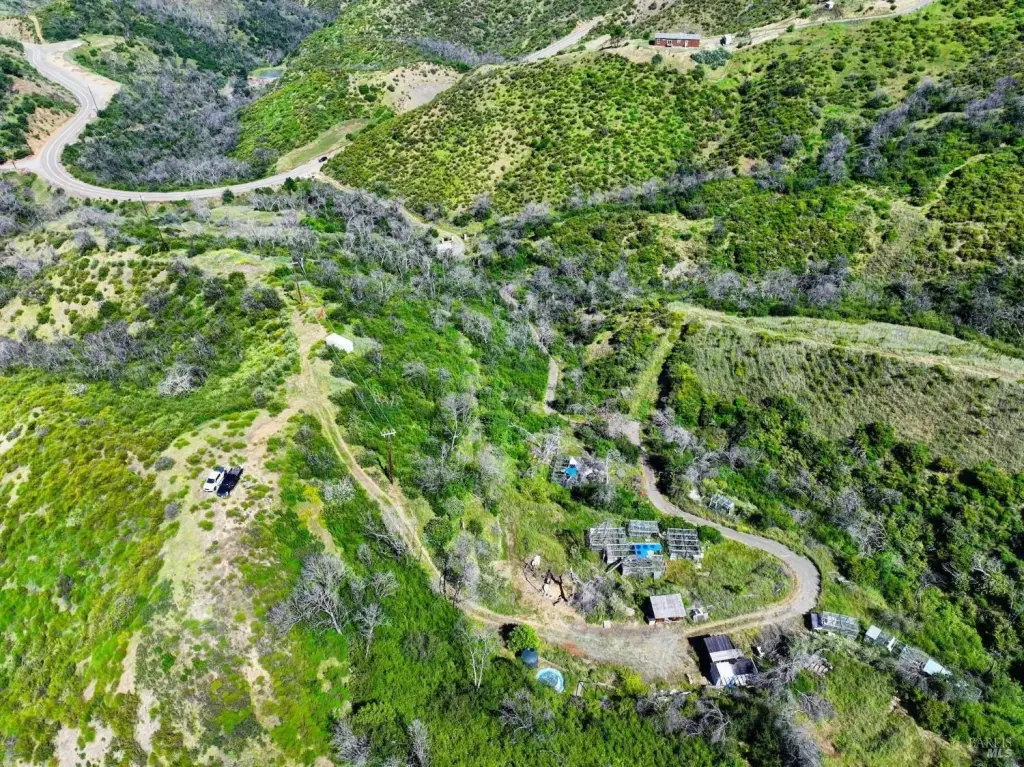 Picture 48
