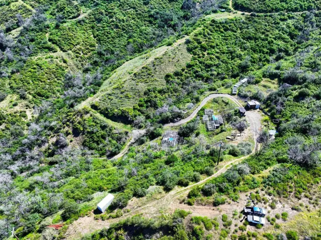 Picture 30